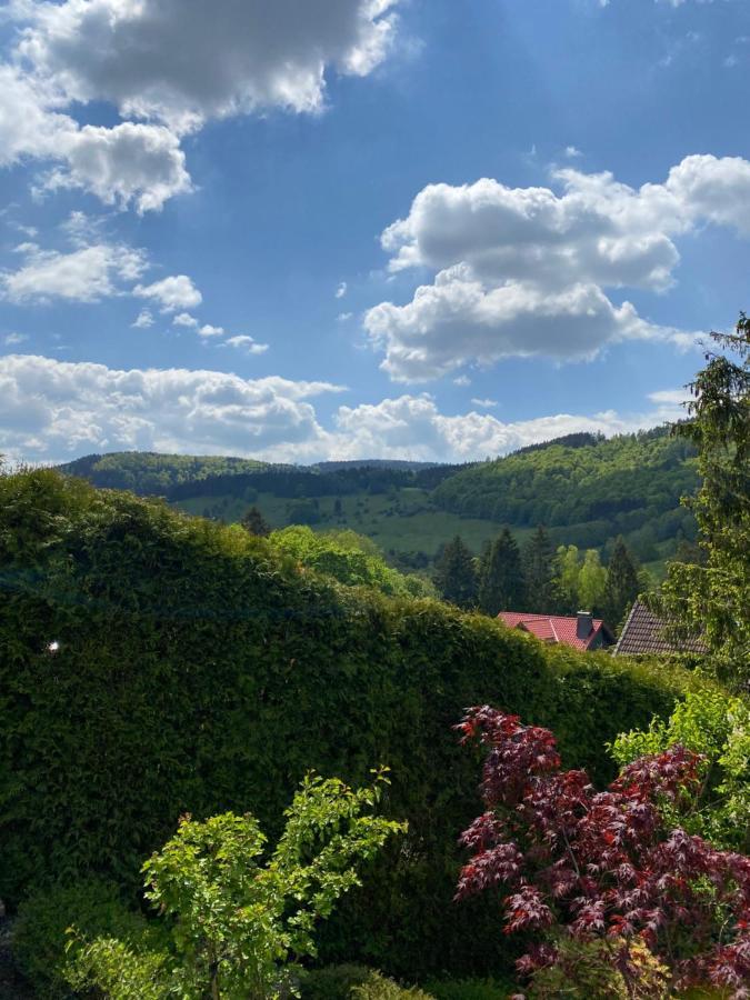 Villa Hills Hut à Langelsheim Extérieur photo