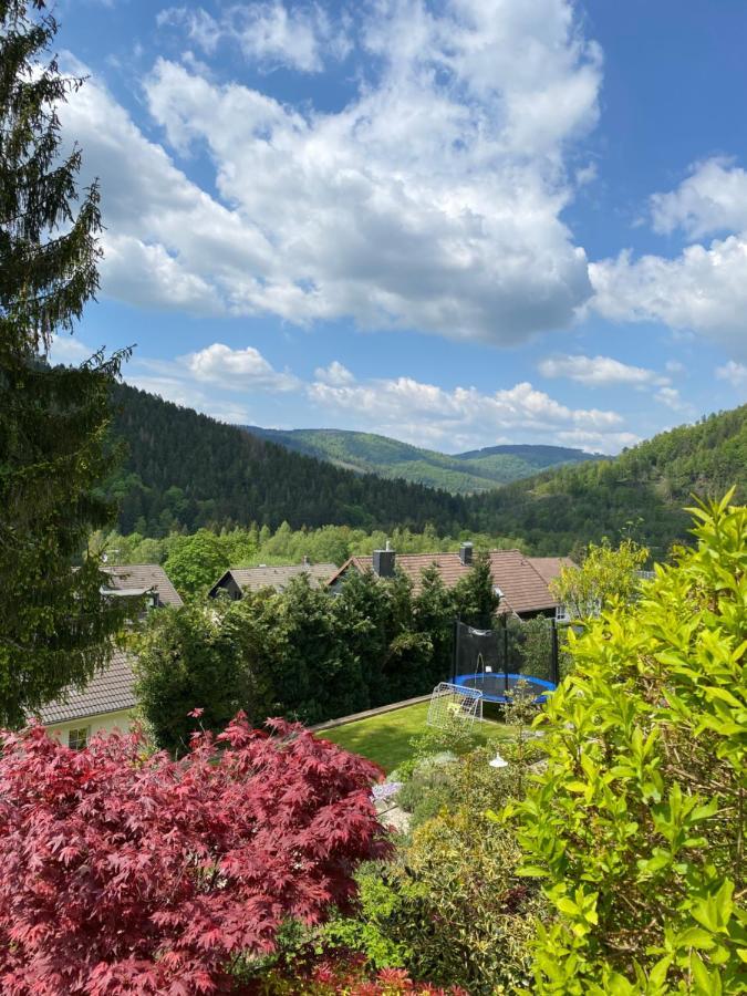 Villa Hills Hut à Langelsheim Extérieur photo